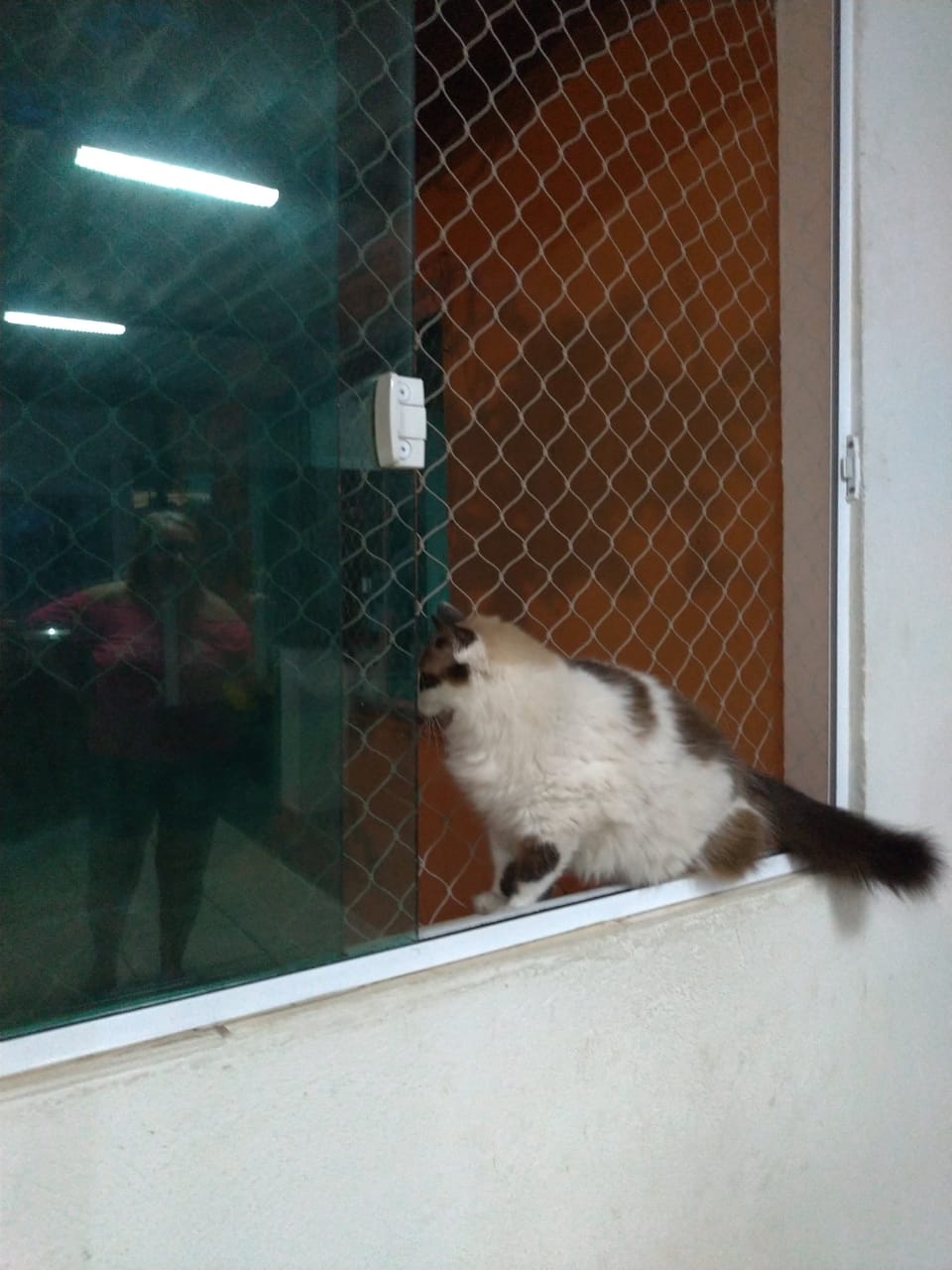 WhatsApp Image 2021-02-28 at 14.08.47 (3)