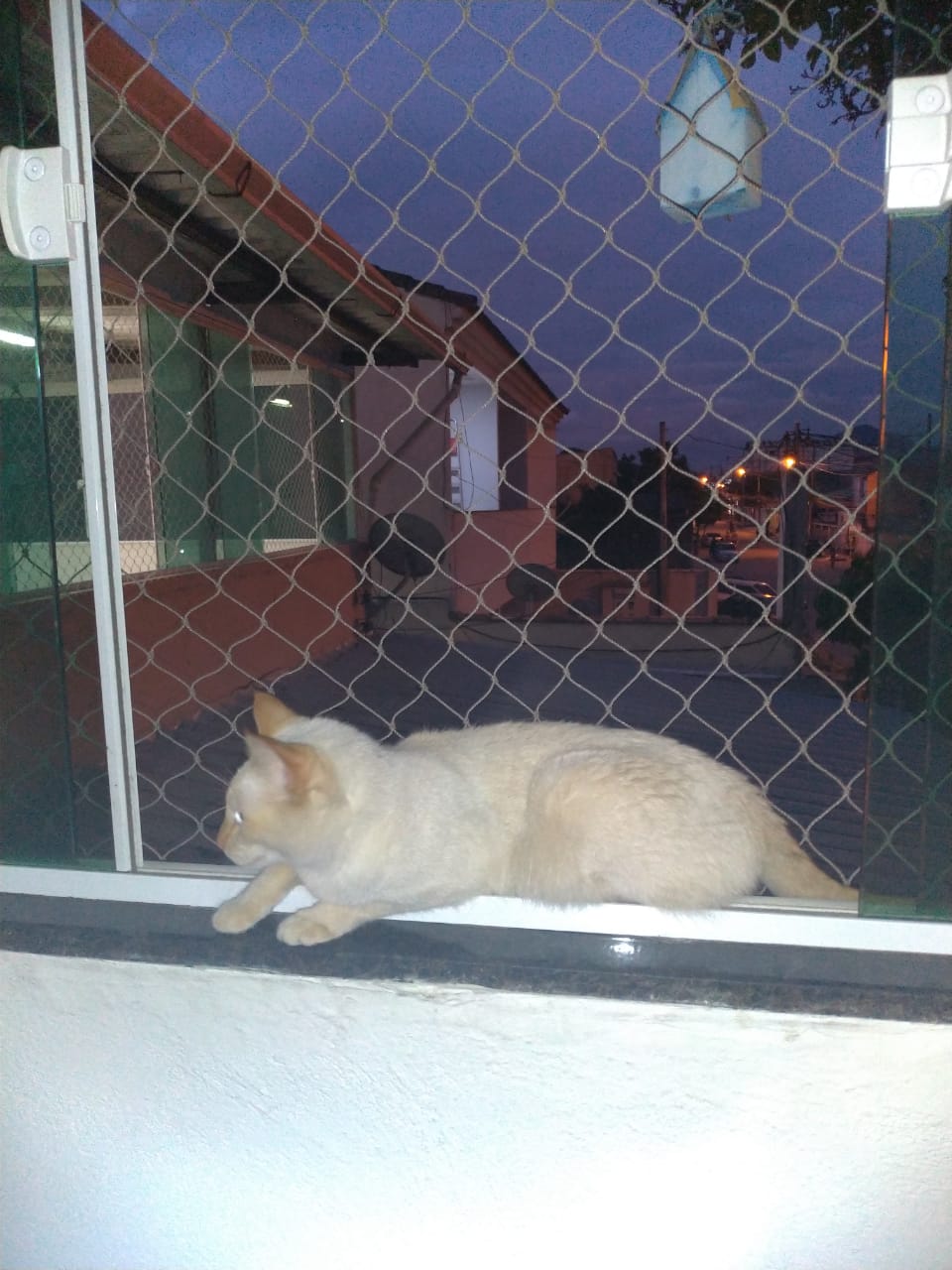 WhatsApp Image 2021-02-28 at 14.08.51 (3)