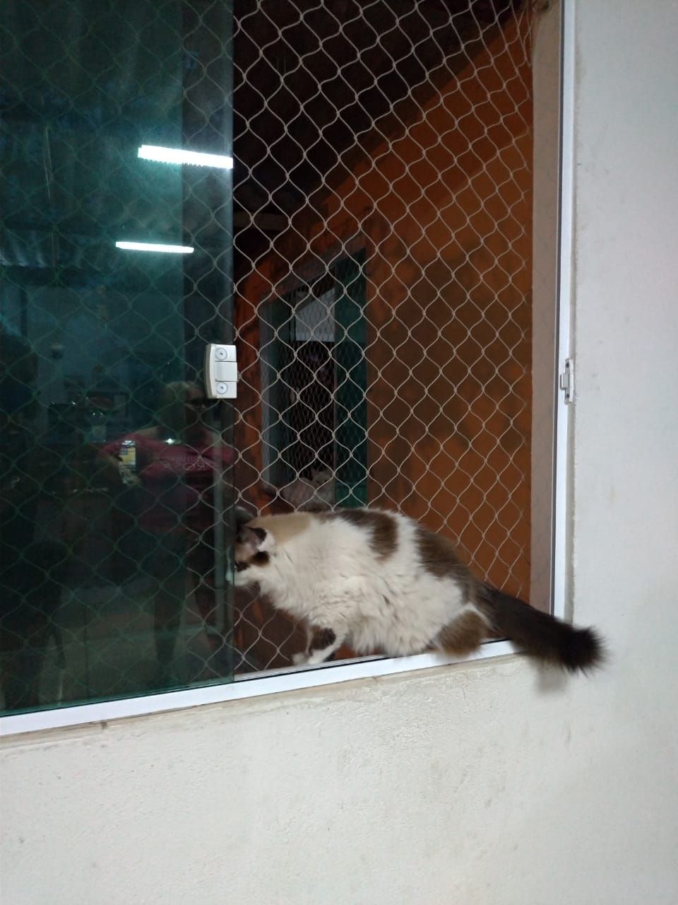 WhatsApp Image 2021-05-07 at 17.41.11